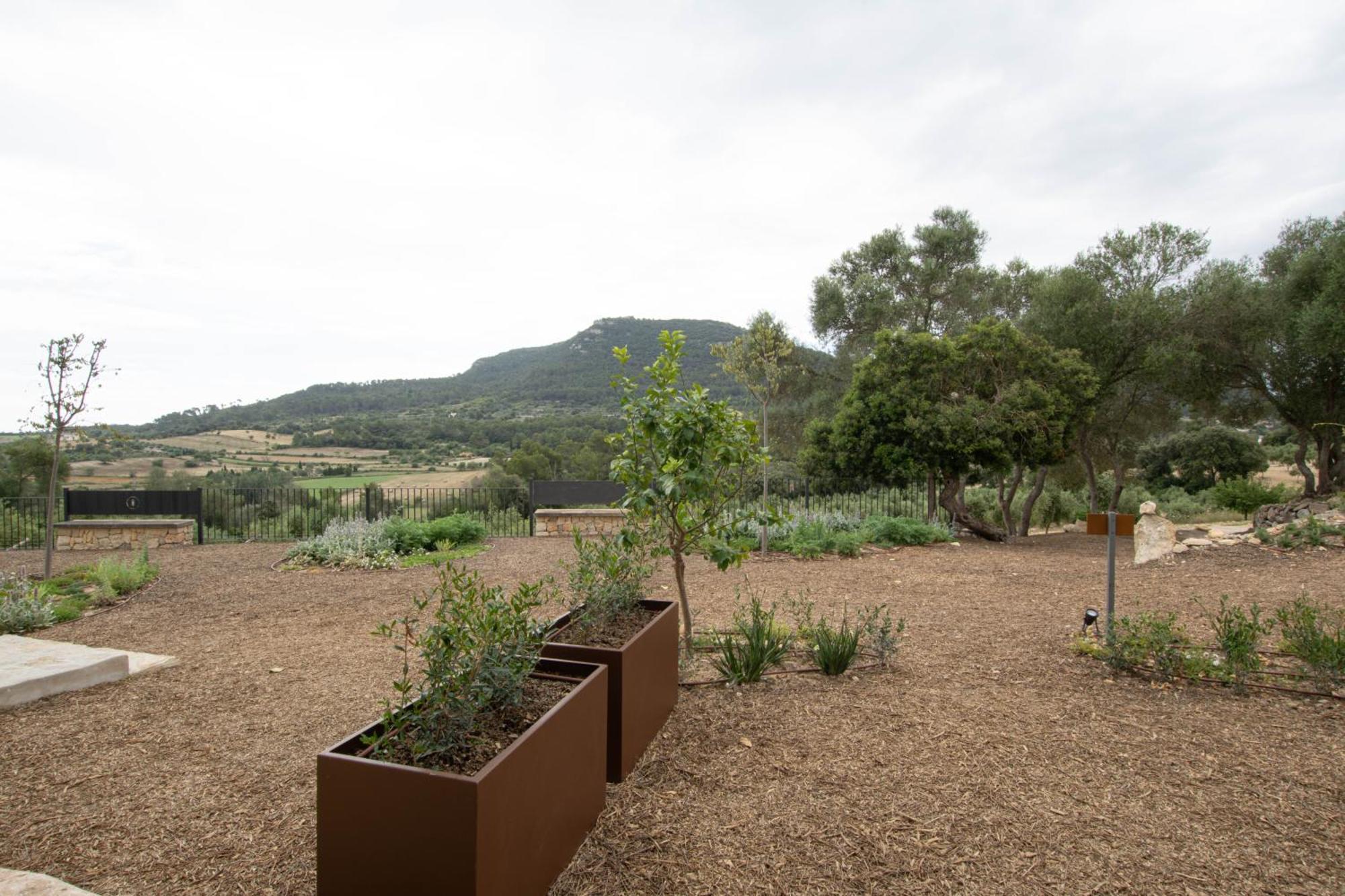 Fincahotel Treurer - Olive Grove & Grand House - Adults Only Algaida  Esterno foto