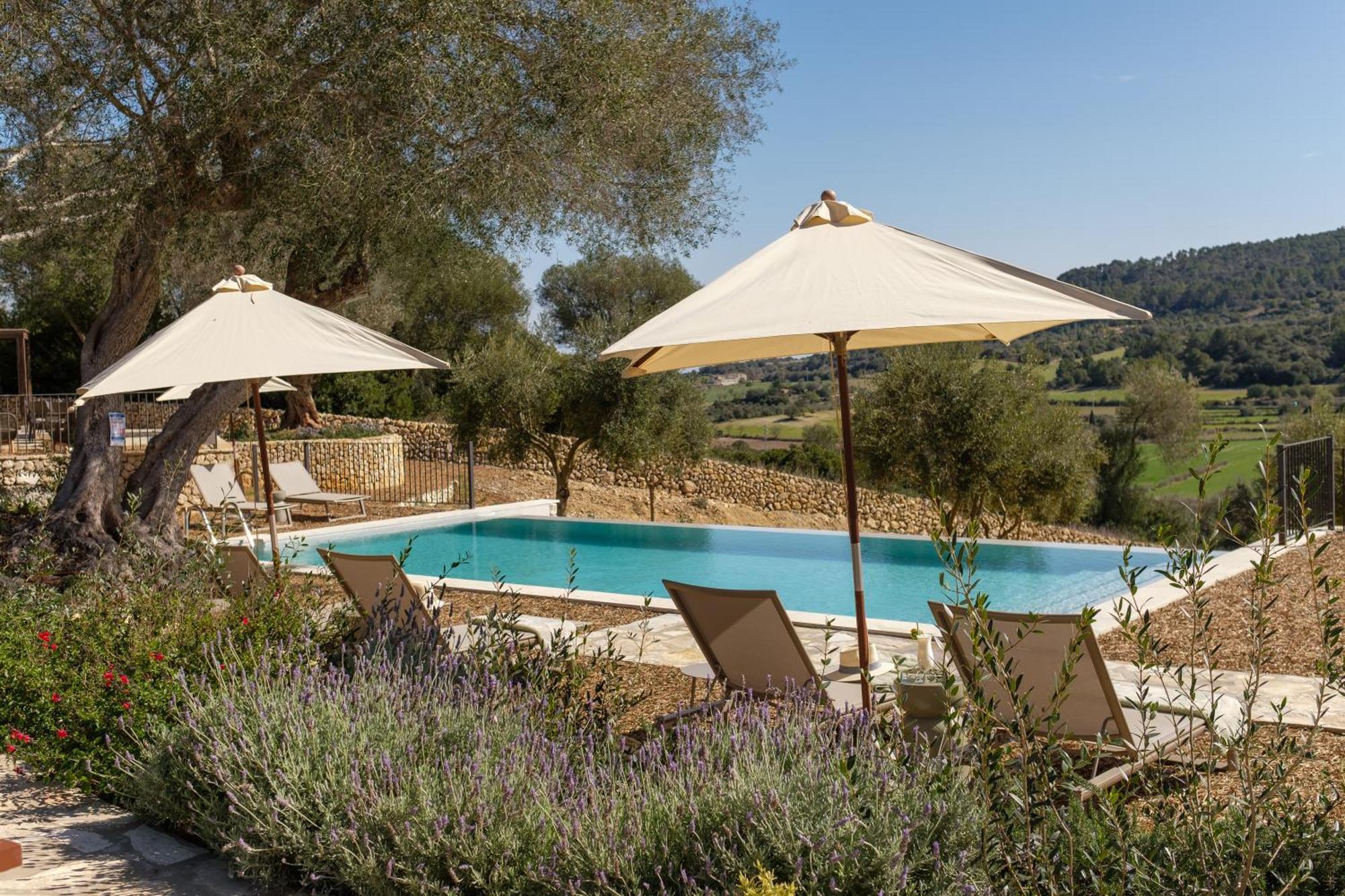 Fincahotel Treurer - Olive Grove & Grand House - Adults Only Algaida  Esterno foto